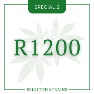 Selected Special No. 2