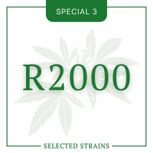 Selected Special No. 3