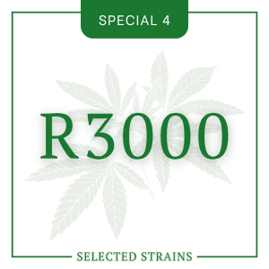 Selected Special No. 4