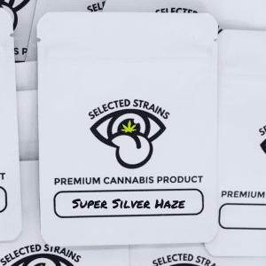 A Grade Greenhouse Super Silver Haze (Sativa)