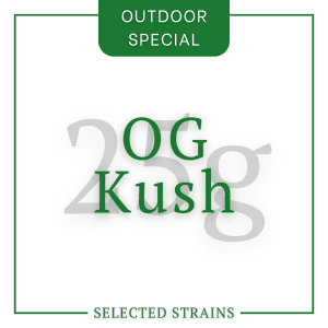 25g OG Kush Special