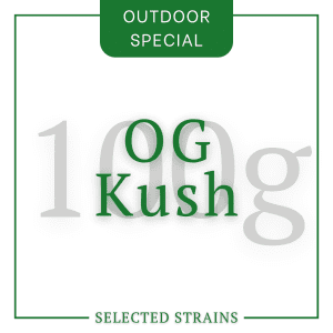 100g OG Kush Special