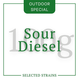 100g Sour Diesel Special