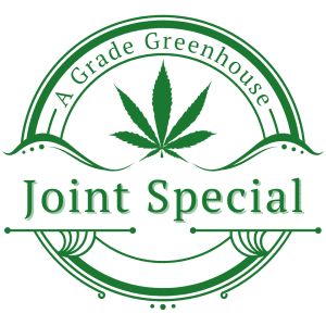 Gorilla Glue Joint Special