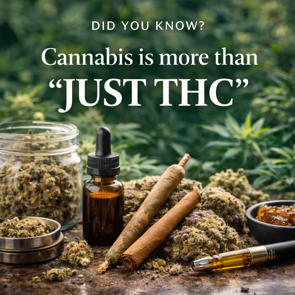 Did You Know? Cannabis Is More Than “Just THC”
