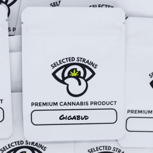 AAA Grade Greenhouse Gigabud (Hybrid)