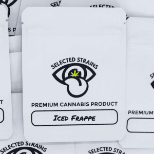 AAA Grade Indoor Iced Frappe (Hybrid)