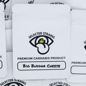 AAA-Grade Greenhouse Big Buddha Cheese (Hybrid)